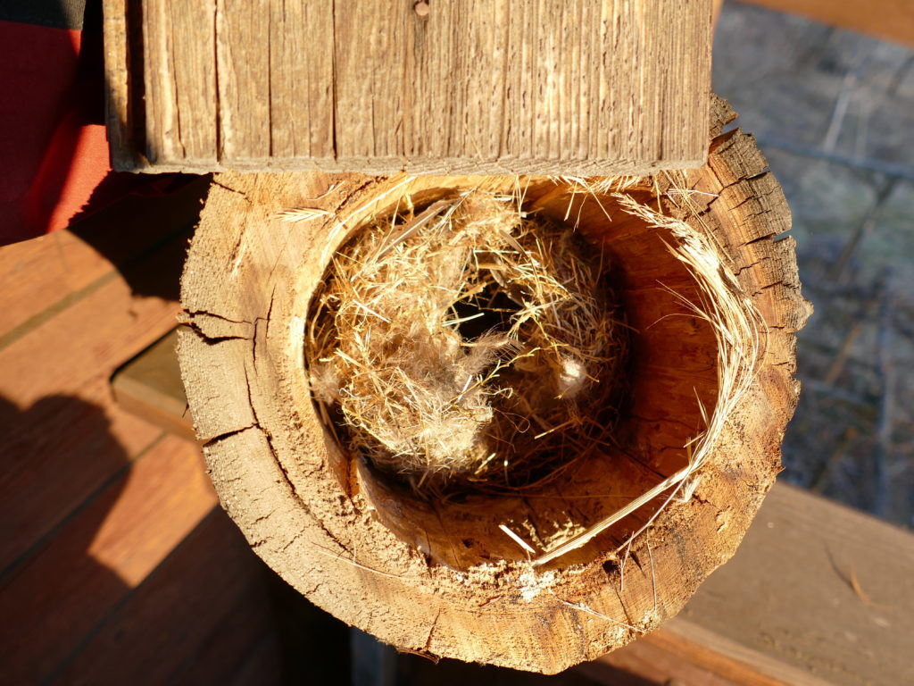 Vogelschutz Burgenland Nistkästen