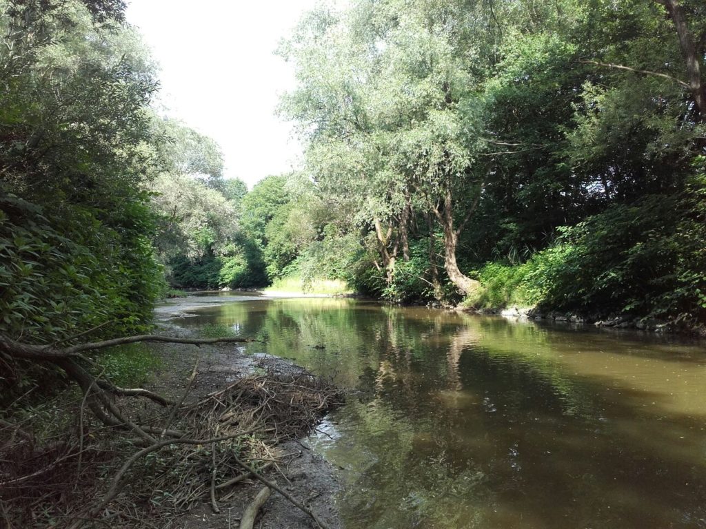 Raab Flüsse Burgenland